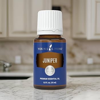 Amazon.com: Young Living Juniper Essential Oil, 15ml | Ideal